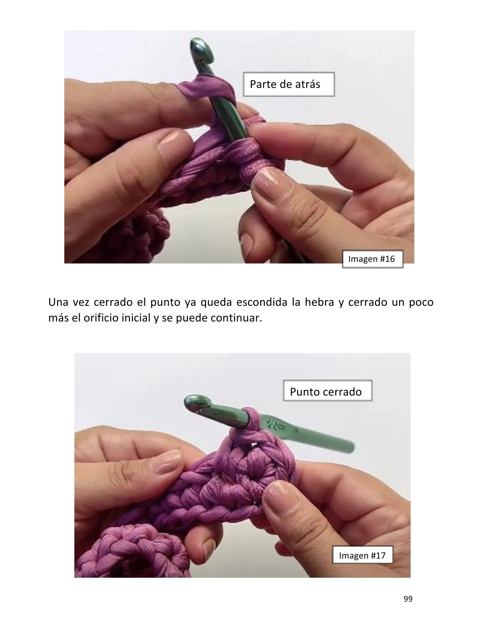 Página de la guía con fotos del paso a paso