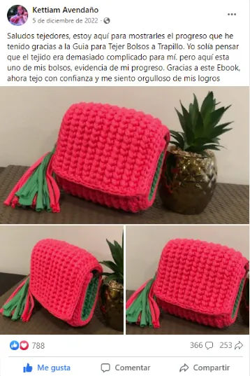 Publicación de una compradora de la guía mostrando su bolso tejido